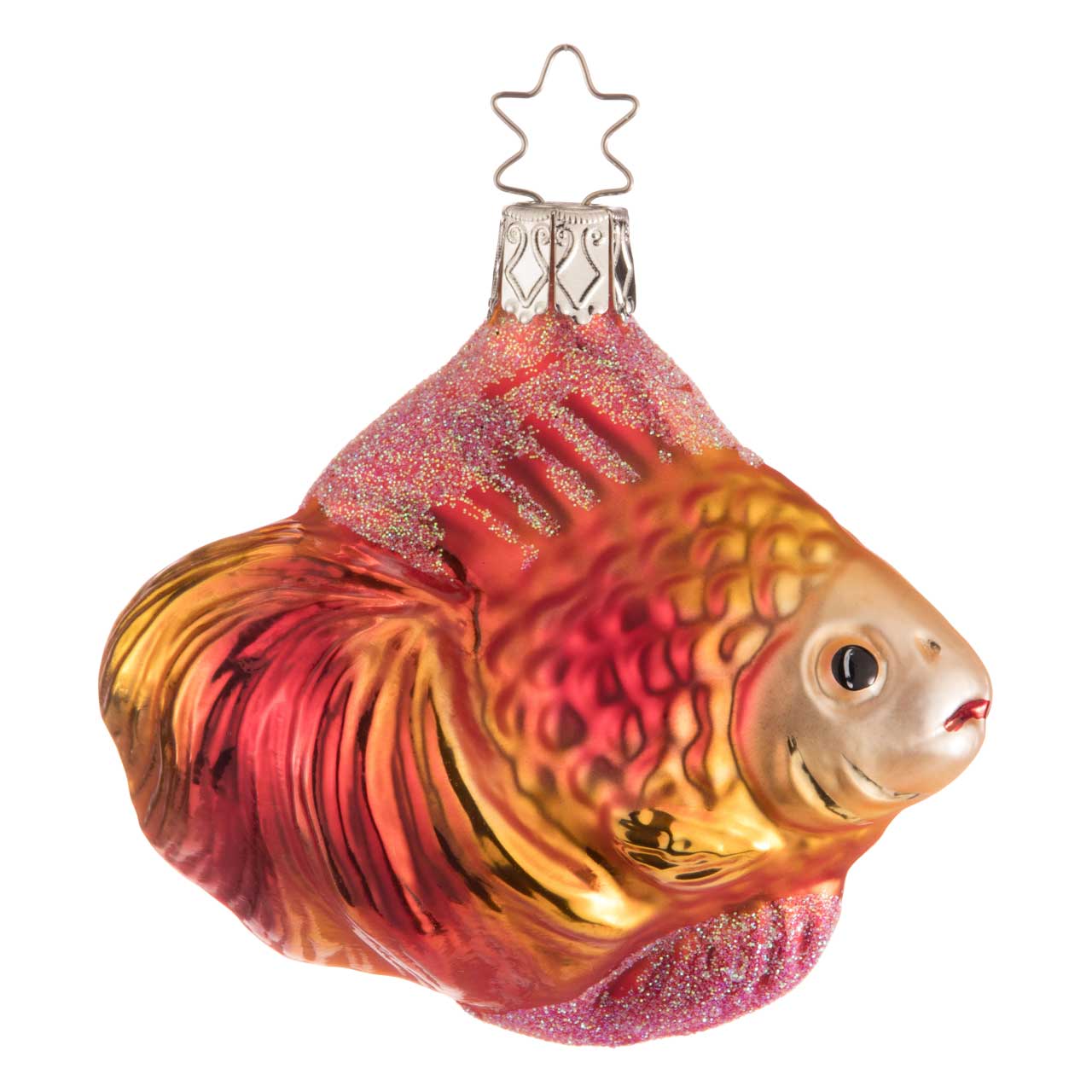 Pesce ornamentale rosso e oro